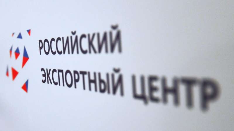 Названы лучшие экспортеры России в 2024 году