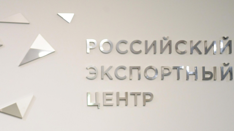 РЭЦ: большинство несырьевого экспорта РФ приходится на дружественные рынки